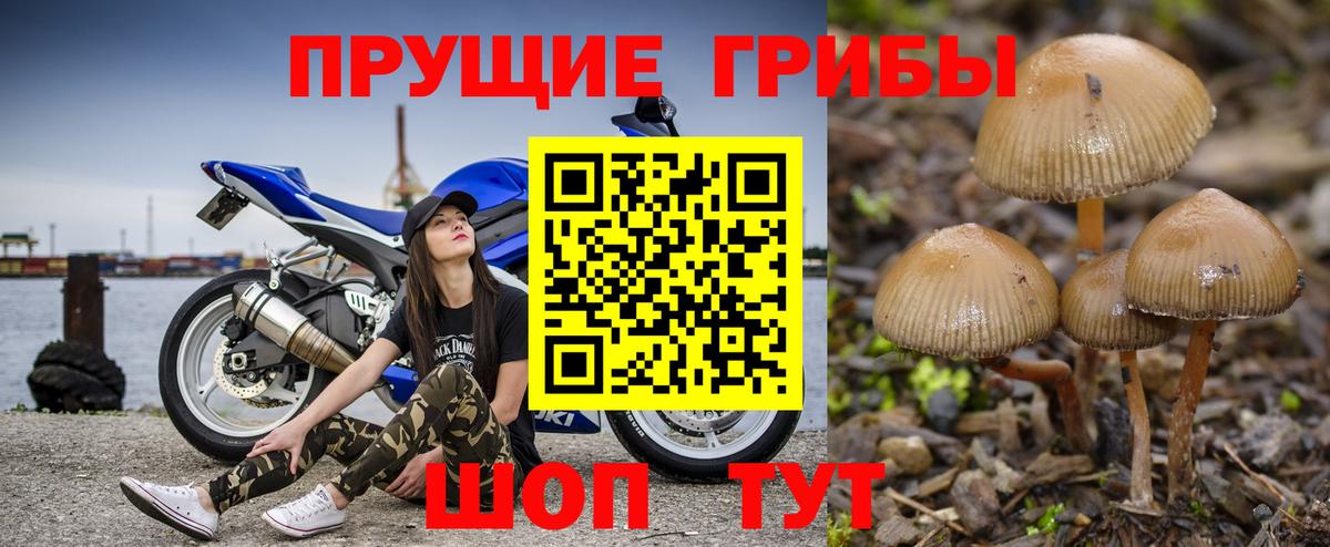 Галлюциногенные грибы MAGIC MUSHROOMS Севастополь